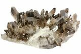 Beautiful, Smoky Quartz Crystal Cluster - Brazil #79930-3